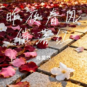 昨夜春风催落红