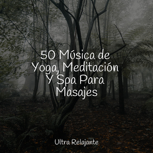 Pasanso Por Debajo