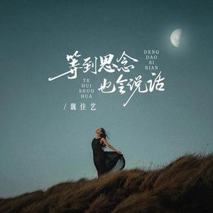 等到思念也会说话 (DJ版)