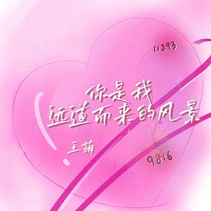 你是我远道而来的风景