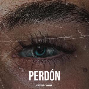 perdón