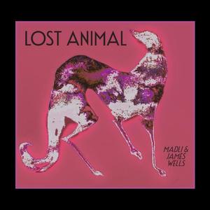 Lost Animal