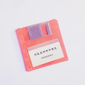 你是我的那年限定 伴奏