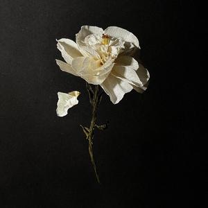 Wrath's Black Attire