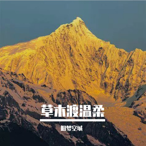 草木渡温柔