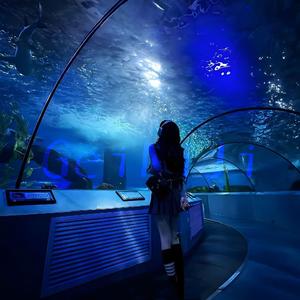 bloody mary (Instrumental)