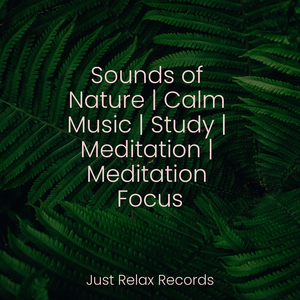 Flickering Flames of Night