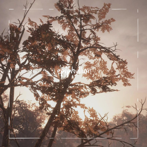 epiphyllum (Instrumental)