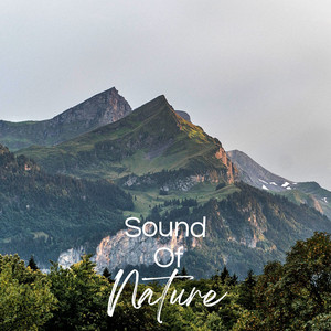 30 Beautiful Nature Sounds, Pt. 22