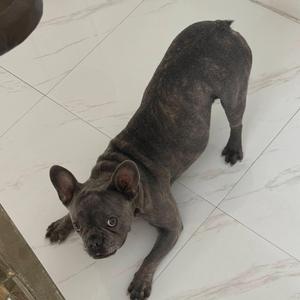 Sunshine Shoes (Karaoke)