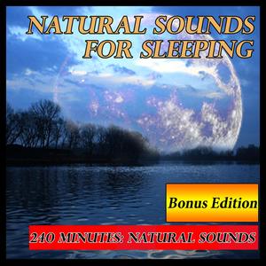 Natural Sounds for Sleeping: Heavy Rains and Thunder Outside a Montana Log Cabin