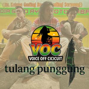 Tulang Punggung