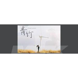 青竹(ingenuous)