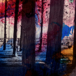 Librando a la mañana