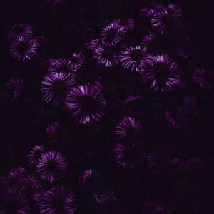 说不来情话.demo