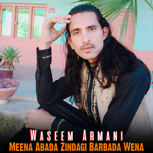 Meena Abada Zindagi Barbada Wena