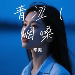 青涩  (烟嗓