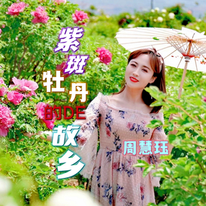 紫斑牡丹的故乡