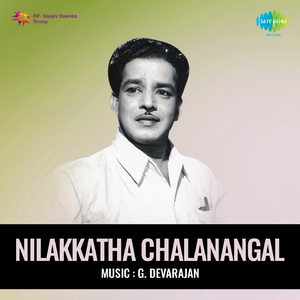 Sri Nagarathil