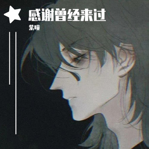 Ayo97-《感谢你曾经来过》（紫瞳 remix）