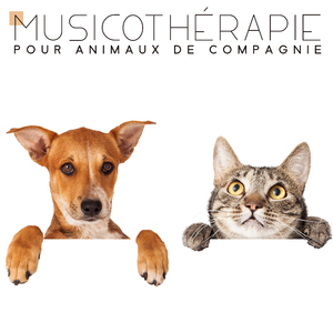 Musique pour chiens seuls à la maison
