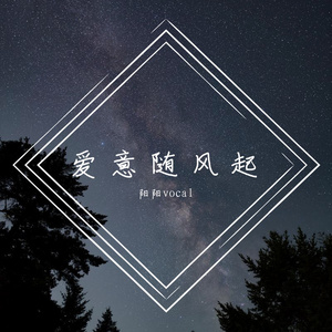 阳阳vocal-我要找到你