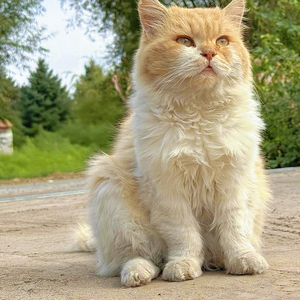 此刻我多想拥抱你