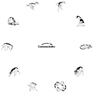 correre (lobotomia)