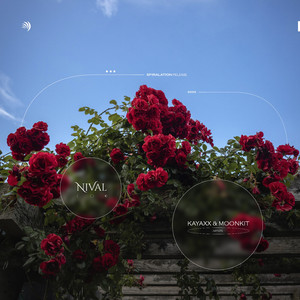 Nival (Original Mix)