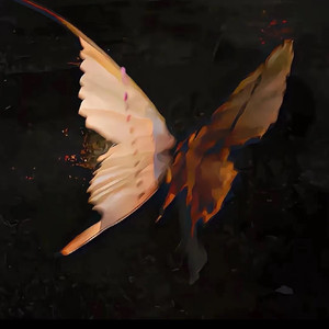 如果 你能依赖我