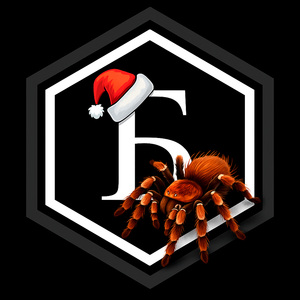 Паук-птицеед (Новогодняя акустика 2024)