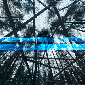 Снегири (Slowed & Reverb)