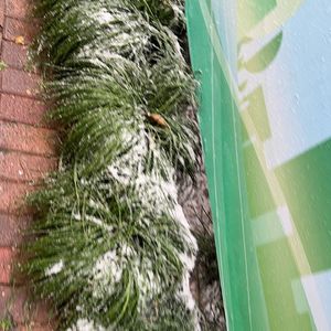 昆山不会下雪了