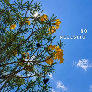 No necesito