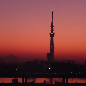 キミだけのきらり