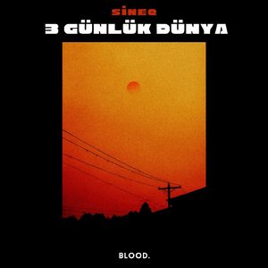 Yaşadığım Kadarım