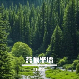 苔痕半墙