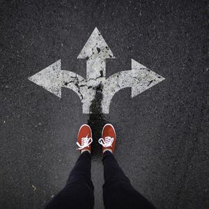 双鸟暂时离分 必有重逢之时