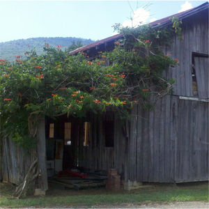 Won't See Love Here No More (feat. Ray Vaughn)