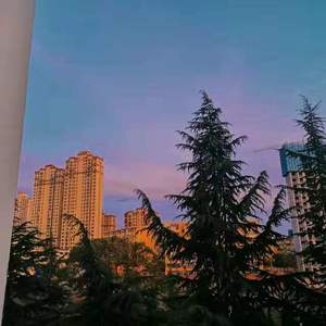 恋愛サーキュレーション（恋爱循环）