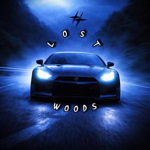 LOST WOODS (Slowed)
