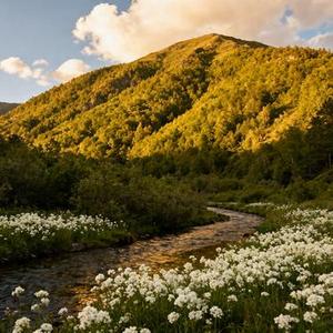 久病难医 (Cover Nickialynn)