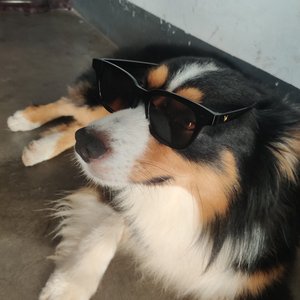 任阳-过你过分美丽—（cover 张国荣）（小连Rr remix）