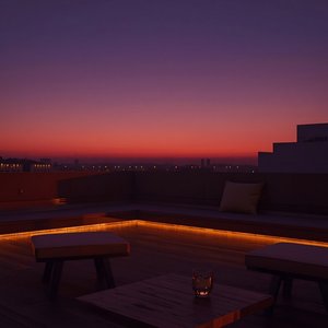 Muted Nights