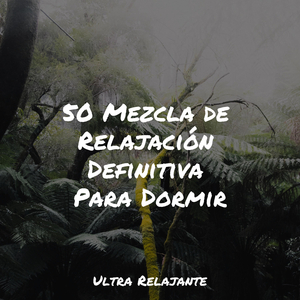 Sonoridades Sensuales