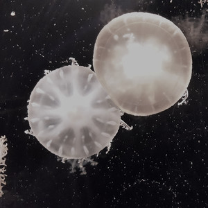 Re:make(Nagisaen EDITION) (rhythm guitar feat.VED)