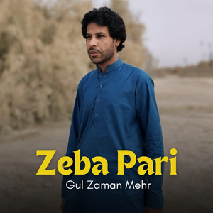 Zeba Pari