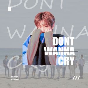 울고 싶지 않아 (不想哭）