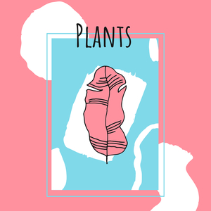 Plants