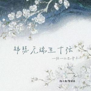 锦瑟无端五十弦（一弦一柱思华年）